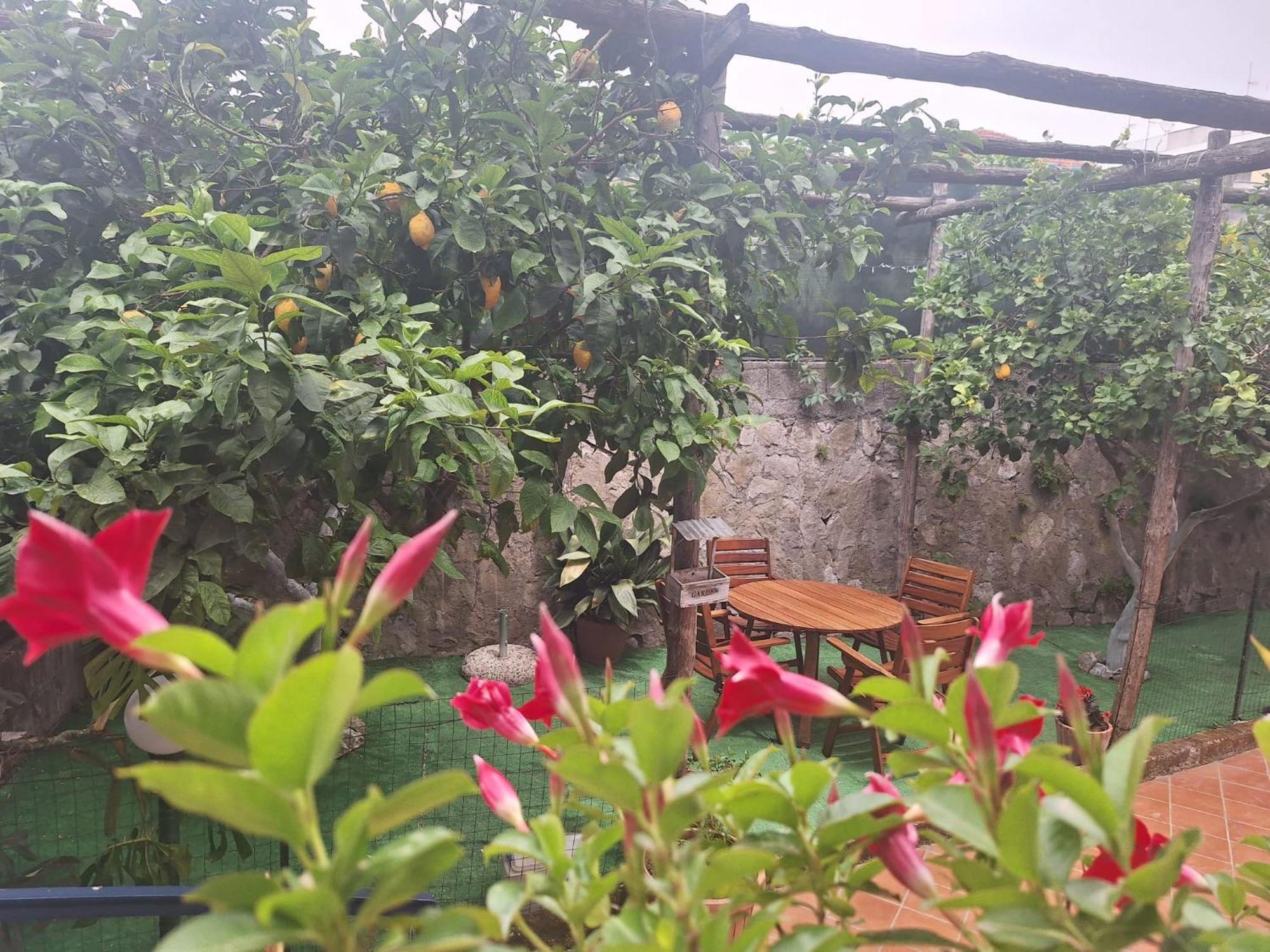 Grazia'S Home Sant'Agnello Exterior photo