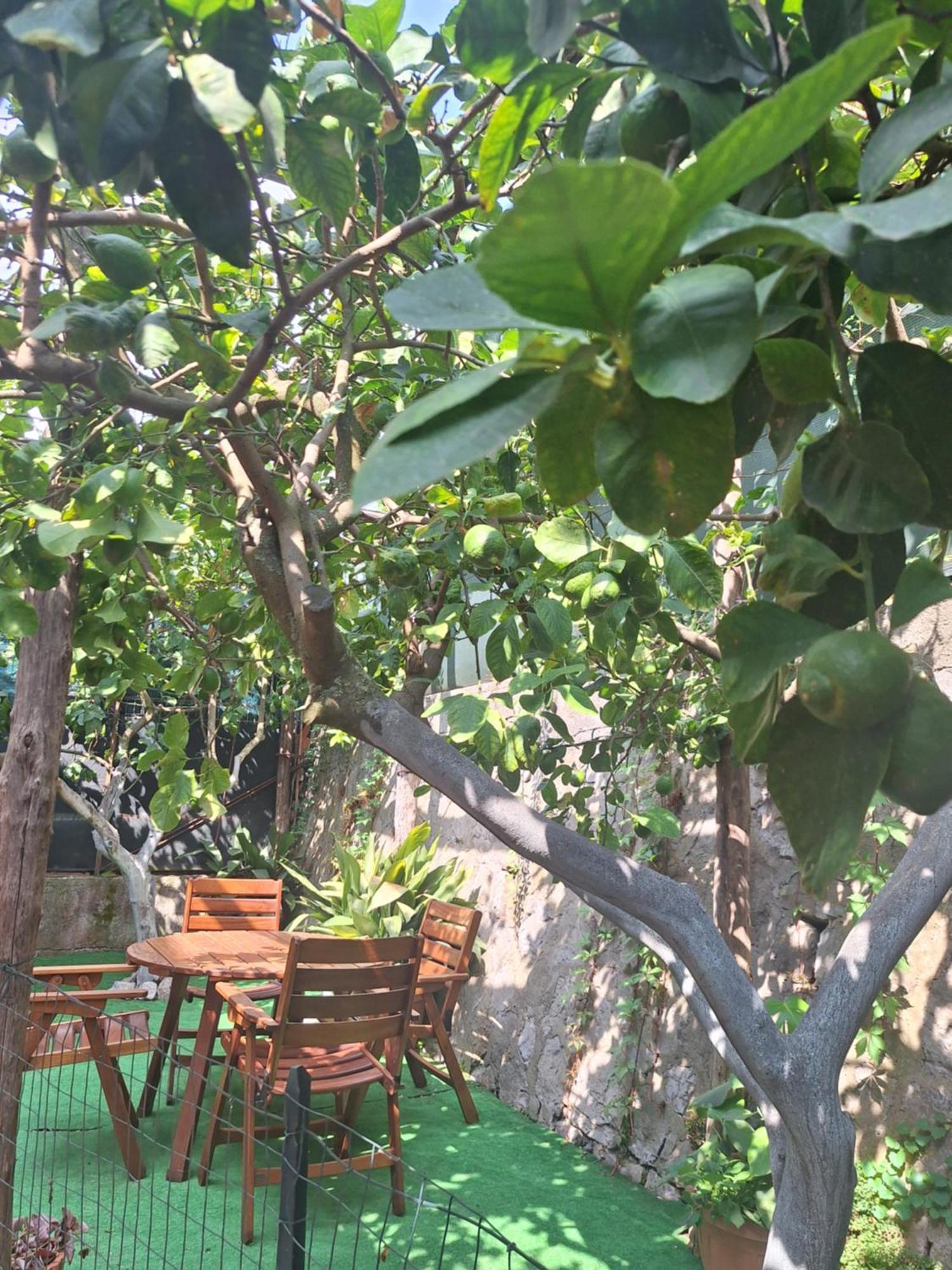 Grazia'S Home Sant'Agnello Exterior photo